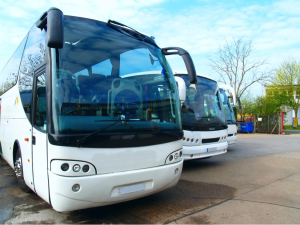 Bus Companies – Accidents and Personal Injuries